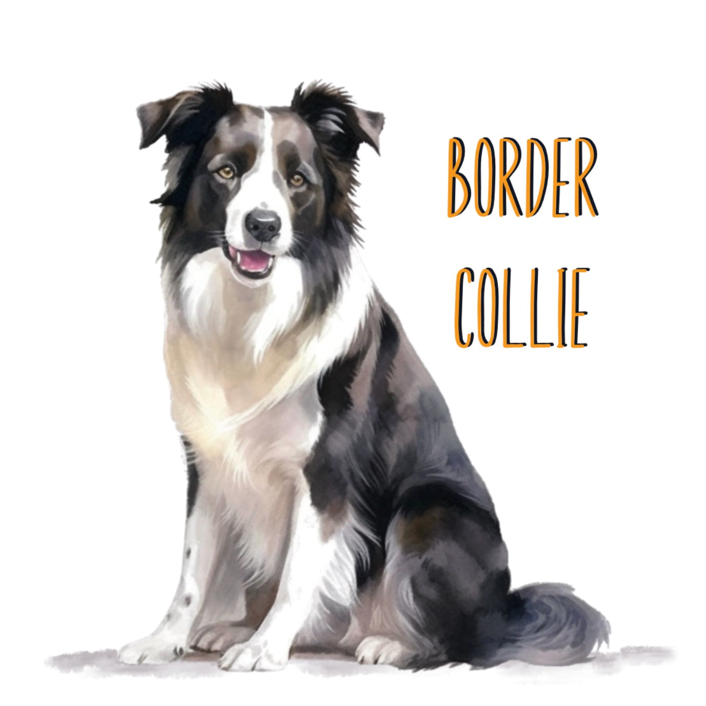 Border Collie Dogs Collection Art Square Personalised Coaster Gift Idea