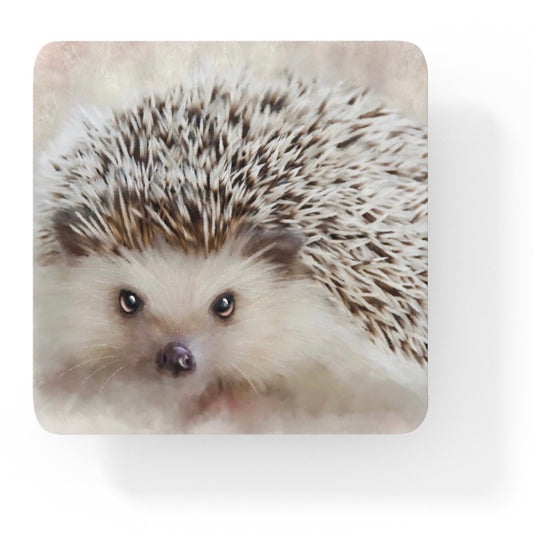 British Wildlife Art Hedgehog Square Personalised Coaster Gift Idea