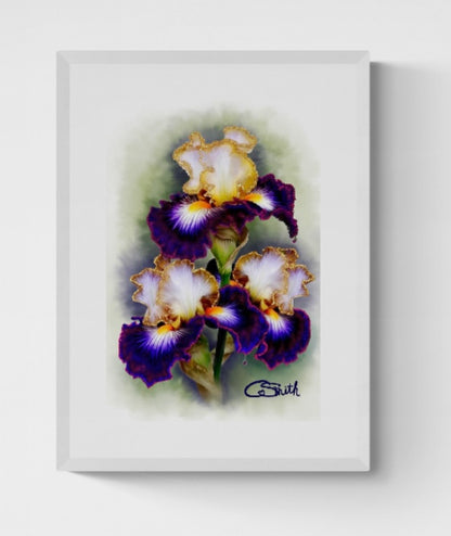 Flower Floral Art Iris Framed Print 14" x 11" (Matte Black or White Frame) Gift Idea