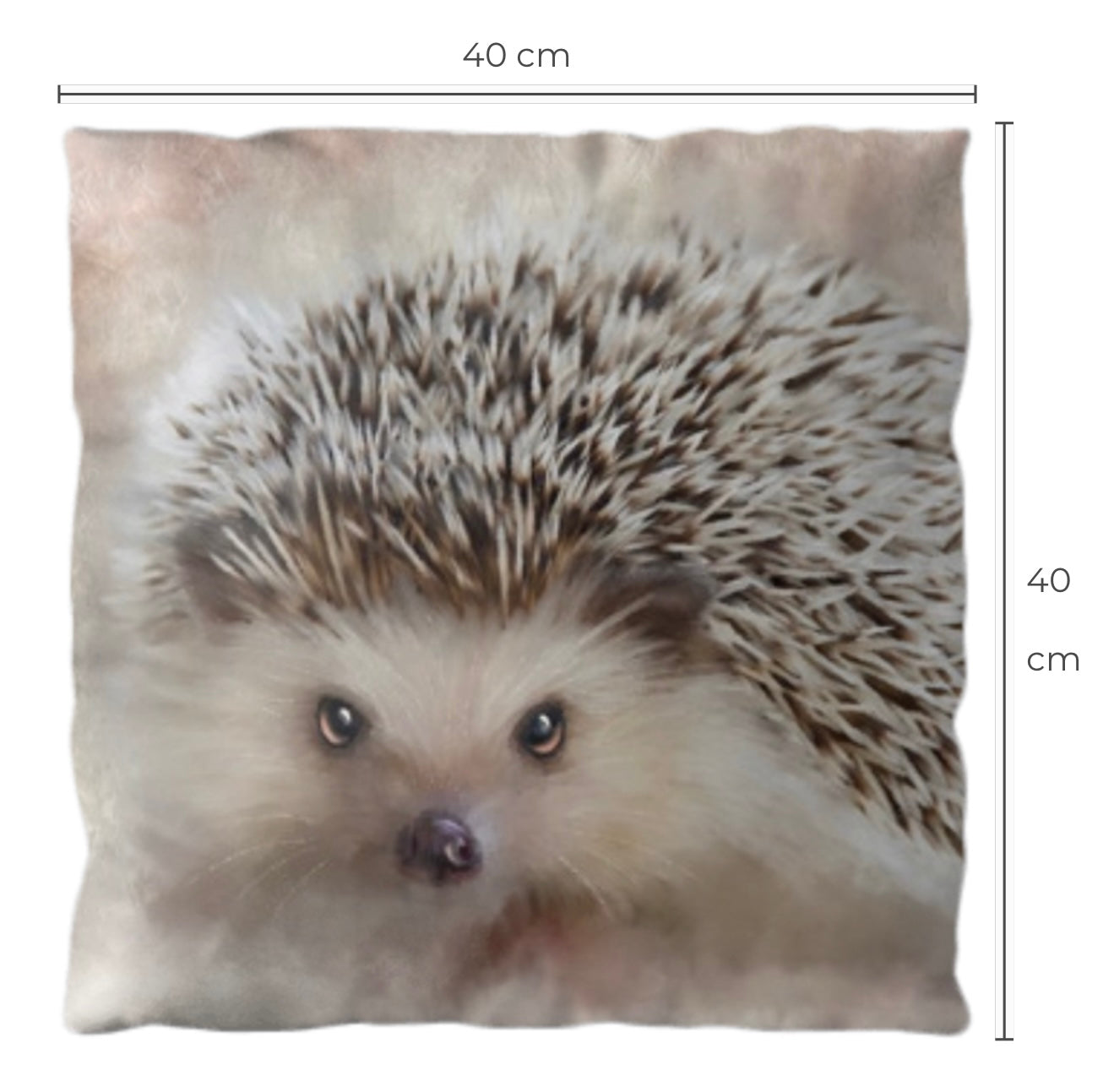 British Wildlife Art Hedgehog Premium Square Cushion Gift Idea 40x40cm