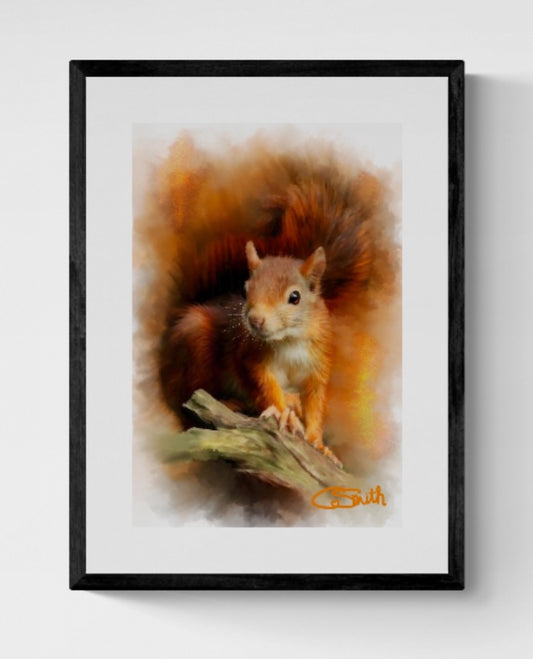 British Wildlife Art Squirrel Framed Print 14" x 11" (Matte Black or White Frame) Gift Idea