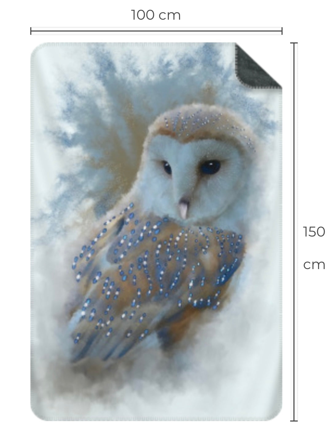 British Wildlife Art Barn Owl Premium Blanket Throw Gift Idea 150 x 100 cm / 40" x 60"