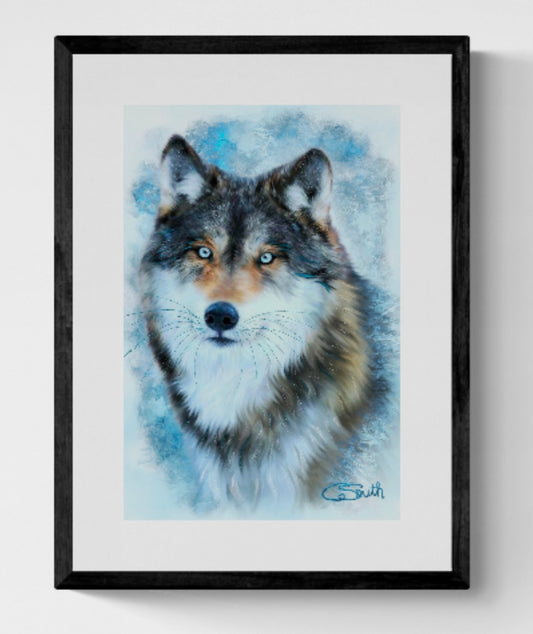 Wildlife Wild Animal Art Wolf Framed Print 14" x 11" (Matte Black or White Frame) Gift Idea