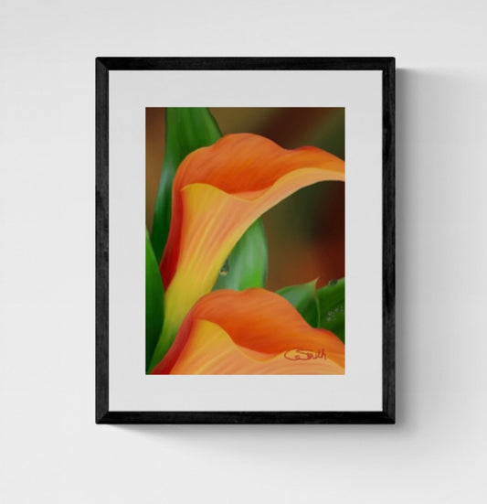 Flower Floral Art Orange Calla Lily Framed Print Gift Idea 14" x 11" (Matte Black or White Frame)