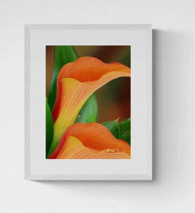 Flower Floral Art Orange Calla Lily Framed Print Gift Idea 14" x 11" (Matte Black or White Frame)