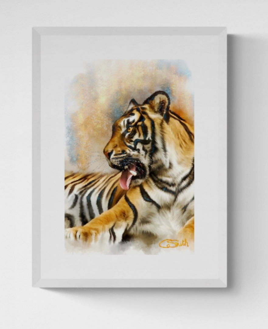 Wildlife Wild Animal Art Sitting Tiger Framed Print 14" x 11" (Matte Black or White Frame) Gift Idea
