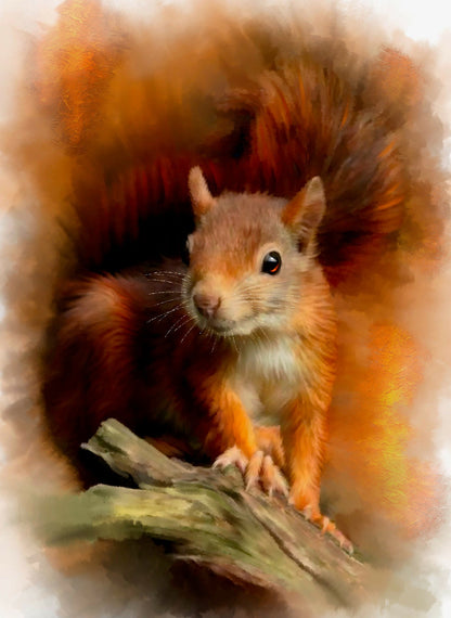 British Wildlife Art Squirrel Premium Blanket Throw Gift Idea 200 x 150 cm / 60" x 80"