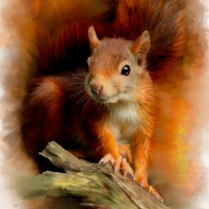 British Wildlife Art Squirrel Premium Square Cushion Gift Idea 40x40cm