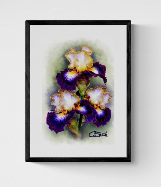 Flower Floral Art Iris Framed Print 14" x 11" (Matte Black or White Frame) Gift Idea