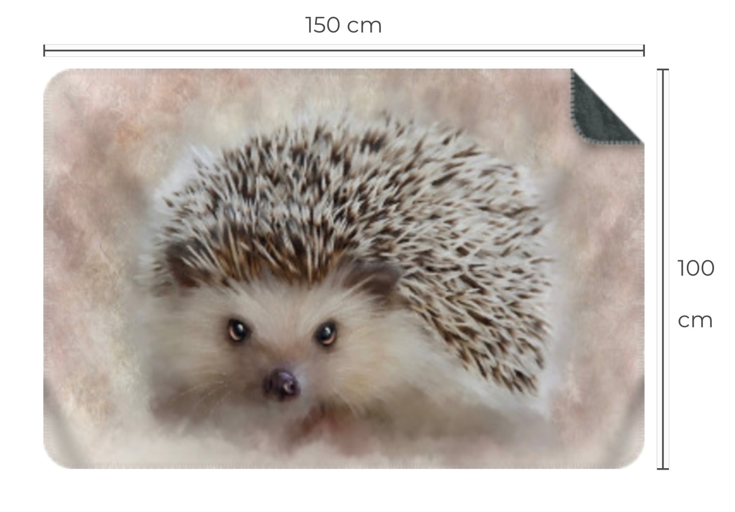 British Wildlife Art Hedgehog Premium Blanket Throw Gift Idea 150 x 100 cm / 40" x 60"