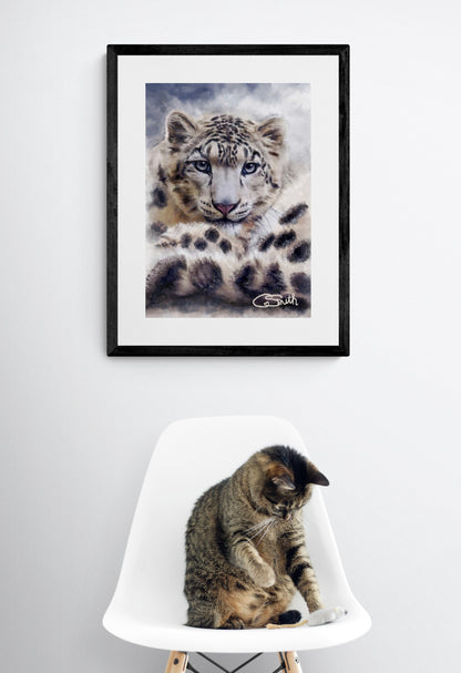 Wildlife Wild Animal Art Snow Leopard Framed Print 14" x 11" (Matte Black or White Frame) Gift Idea