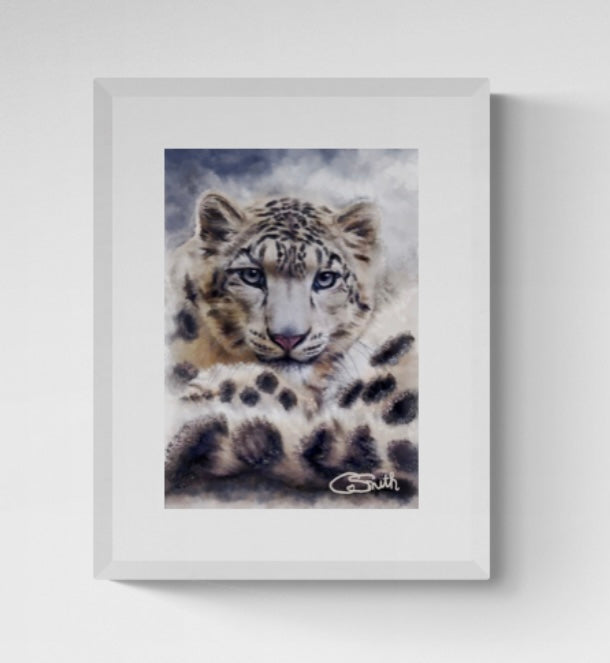 Wildlife Wild Animal Art Snow Leopard Framed Print 14" x 11" (Matte Black or White Frame) Gift Idea