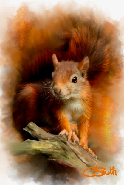 British Wildlife Art Squirrel Framed Print 14" x 11" (Matte Black or White Frame) Gift Idea